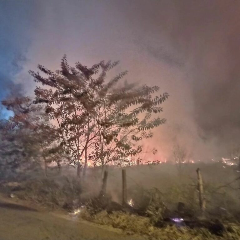 Dois incêndios atingem área de mata de 79 mil m² em Taubaté