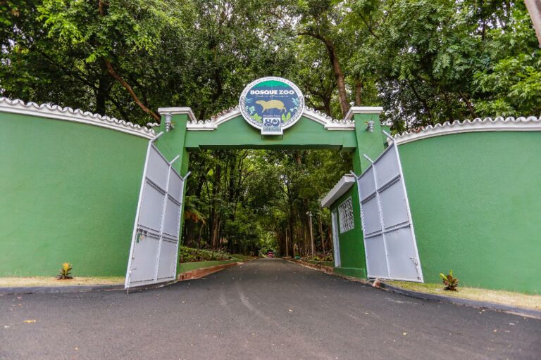 Na semana do Meio Ambiente, Bosque Zoológico anuncia a reabertura do serpentário