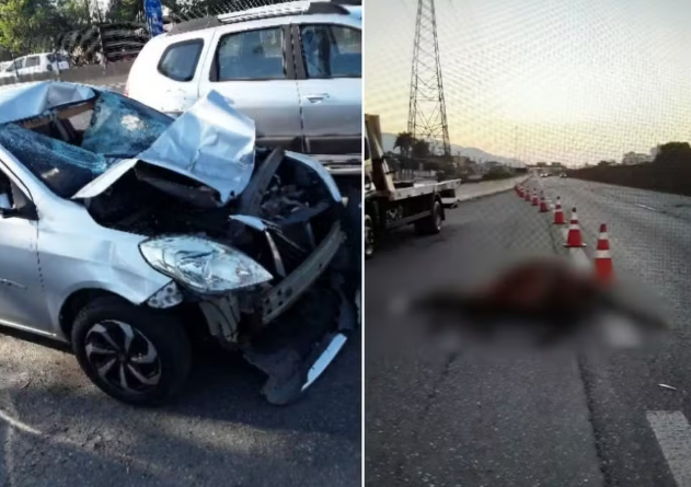 Cavalo morre atropelado após provocar acidente em rodovia de Mongaguá