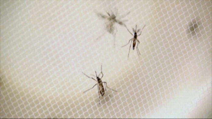 Santa Branca confirma primeira morte por dengue