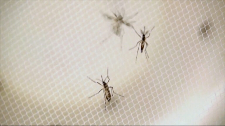 Santa Branca confirma primeira morte por dengue