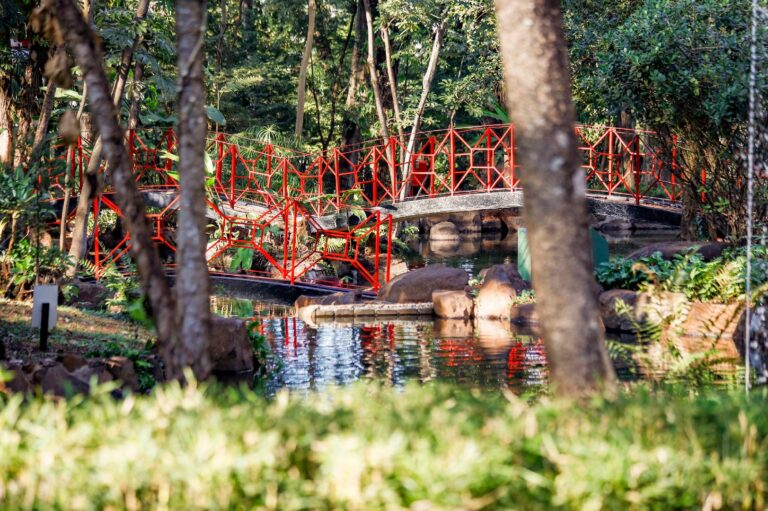 Revitalização do Jardim Japonês é concluída e espaço já pode ser visitado