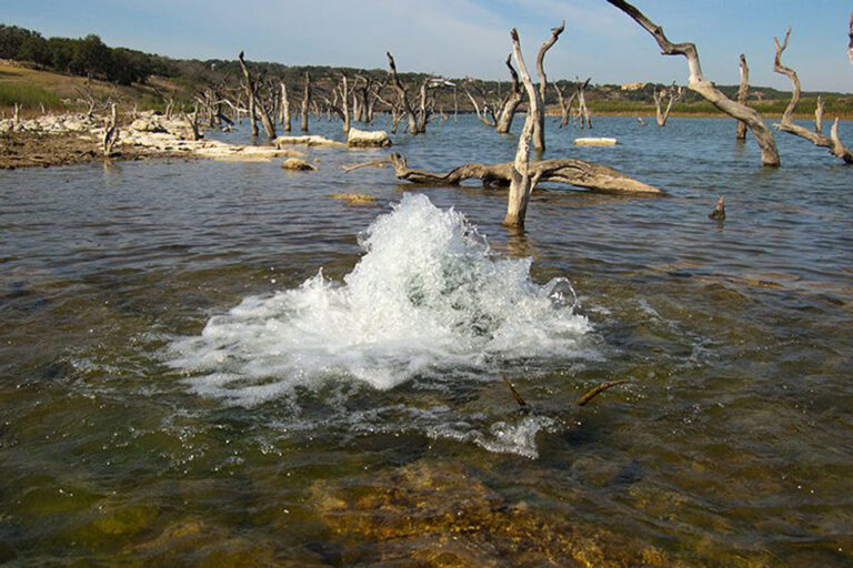 Águas subterrâneas: como prolongar a vida do Aquífero Guarani?