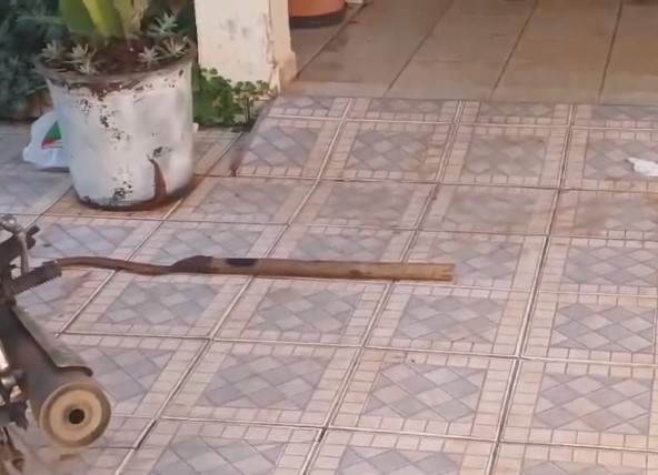 Homem é baleado pelo irmão após tentar agredir a mãe em Holambra