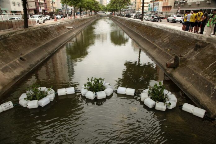 francisco_arrais_6048_0