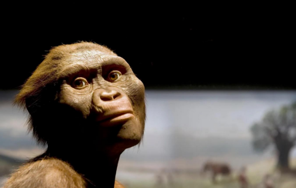 Shopping de Santos apresenta exposição gratuita sobre a evolução humana, a partir desta sexta