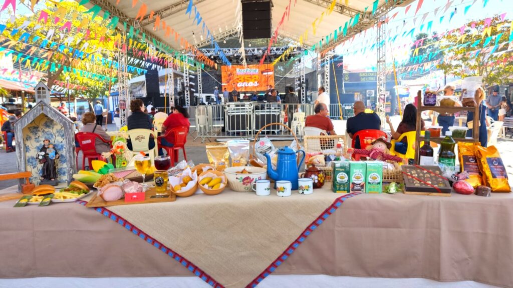 festa aniversário paraibuna