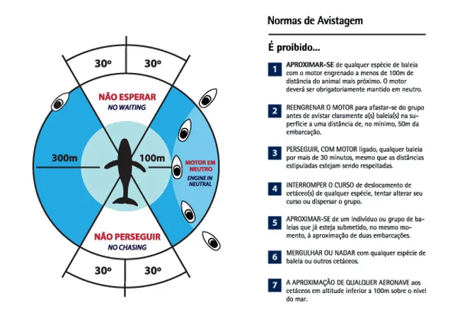 normas avistamento baleias