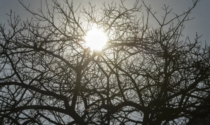 baixa umidade do ar vale