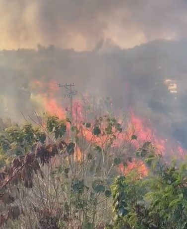 Incêndio Valinhos estrada do Roncáglia