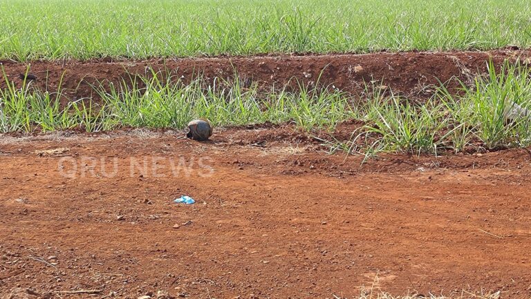 Motociclista é socorrido com ferimento grave na cabeça após acidente em Jardinópolis