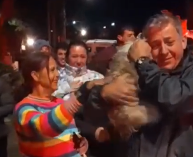 Cachorra é resgatada de incêndio em Campos do Jordão Cachorra é resgatada de incêndio em Campos do Jordão