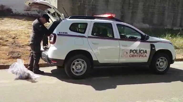 Ossada humana achada em tubulação pode ser de jovem desaparecida