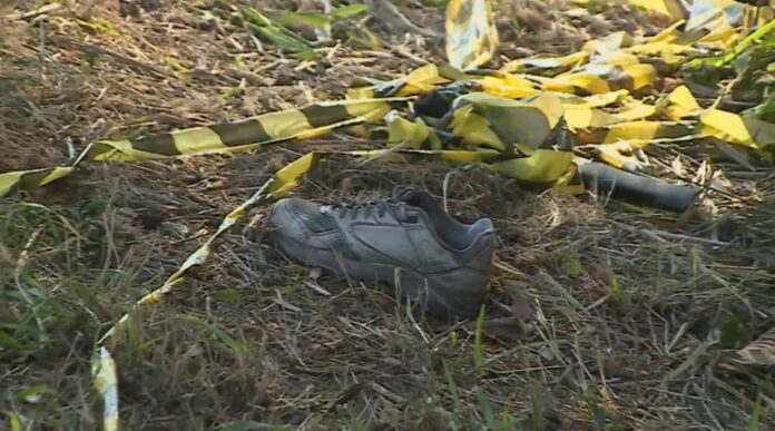 Jovem é morto por motorista com sinais de embriaguez Jovem é morto por motorista com sinais de embriaguez