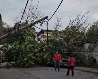 árvore atinge carro após ventania em sjc
