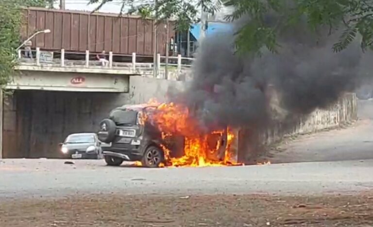Carro roubado bate em mureta, pega fogo e três ladrões fogem