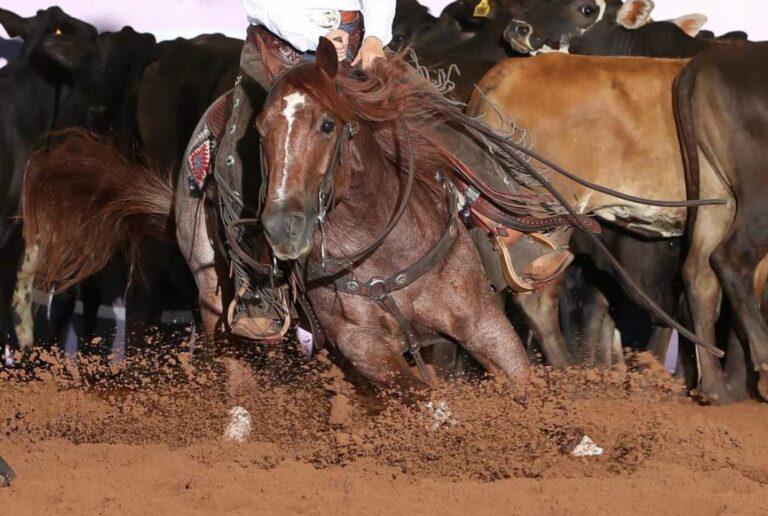 ABQM celebra 55 anos com grande evento sediado pela 6ª vez consecutiva em Araçatuba