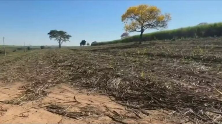 Polícia Ambiental aplica R$75 mil em multas por degradação de matas nativas em Araçatuba