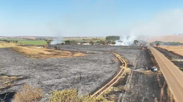 Incêndio devasta 10 hectares de escola agrícola desativada em Auriflama