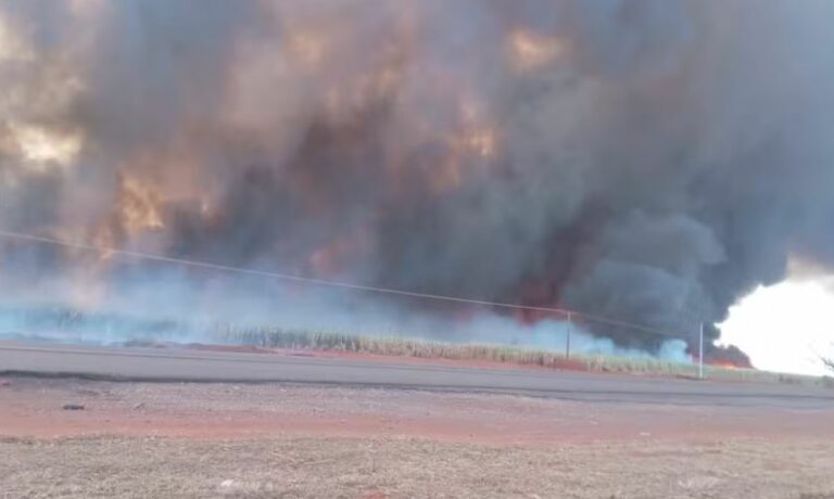 Incêndio mata animais e devasta área em Santo Antônio do Aracanguá