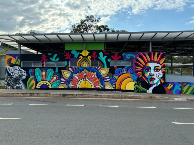 Arte urbana: Terminal BRT Campos Elíseos ganha murais
