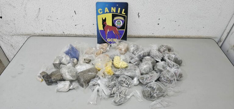 Crack, cocaína e haxixe: canil da GCM encontra drogas em Área de Preservação Permanente