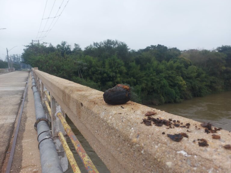 Pescador encontra granada da época da 2ª Guerra Mundial no Rio Paraíba do Sul