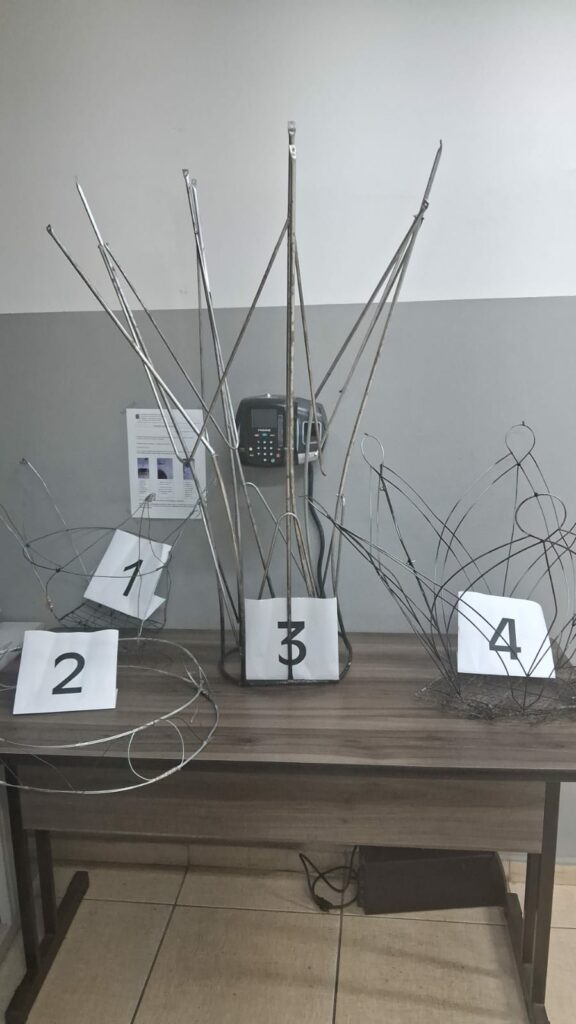 Homem é multado em R$ 41 mil por manter aves em cativeiro e fabricar partes de balão