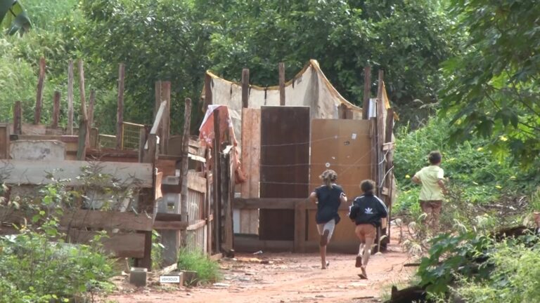 Câmara vota PL que institui o programa “Periferias Verdes e Resilientes” em Ribeirão Preto