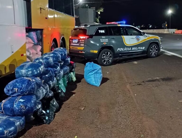 Polícia de SP prende três bolivianas com mais de 200 kg de folhas de coca