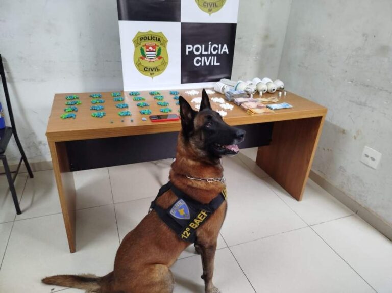 Drogas são encontradas em lâmpadas de bar por cão policial no bairro Umuarama