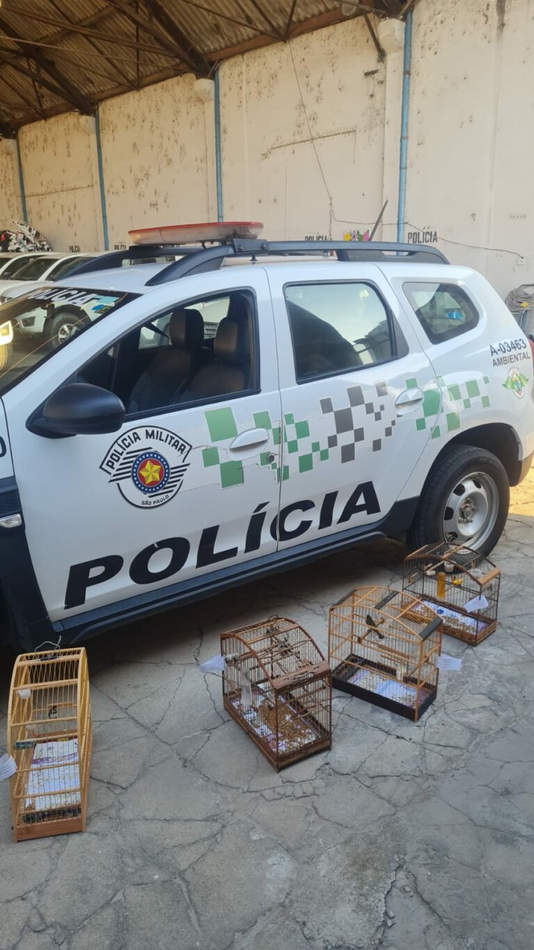 Sete aves são resgatadas de cativeiro irregular em Taubaté