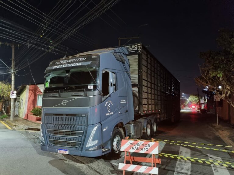 caminhão enrosca fios limeira