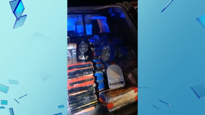 Operação foi realizada em conjunto com a Guarda Civil de Capivari: droga estava armazenada em uma casa na cidade de Indaiatuba