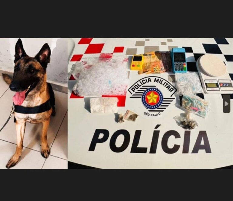 Homem é preso por tráfico de drogas após cão encontrar entorpecentes em bar