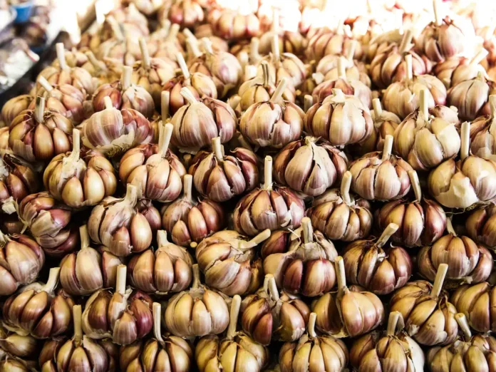 cesta básica mais barata em junho no vale