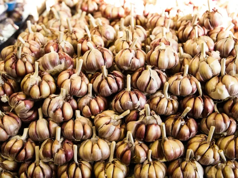 cesta básica mais barata em junho no vale