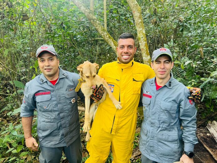 Cachorro é resgatado de poço na cidade de Várzea Paulista.