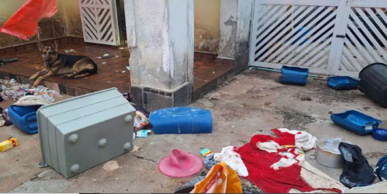 Casa com mais de 30 cachorros em situação de maus-tratos foi encontrada em Praia Grande