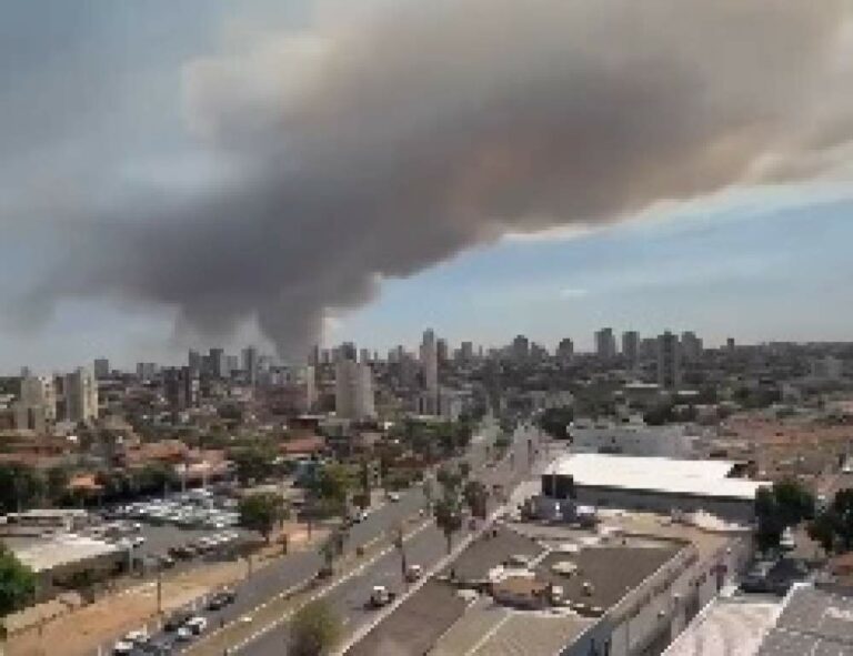 Bombeiros combatem incêndio em vegetação na zona rural de Araçatuba