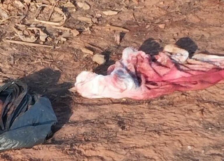 Corpo de bebê recém-nascido é encontrado em canavial no interior de SP