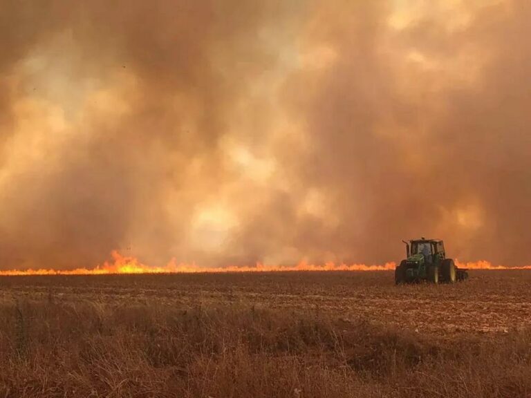 Temperatura pode chegar a 36ºC e aumenta risco de incêndio; CGE faz alerta para a região de Ribeirão Preto