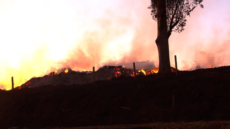 Defesa Civil aponta 629 focos de incêndio de maio a agosto e alerta sobre temperaturas altas nos próximos dias