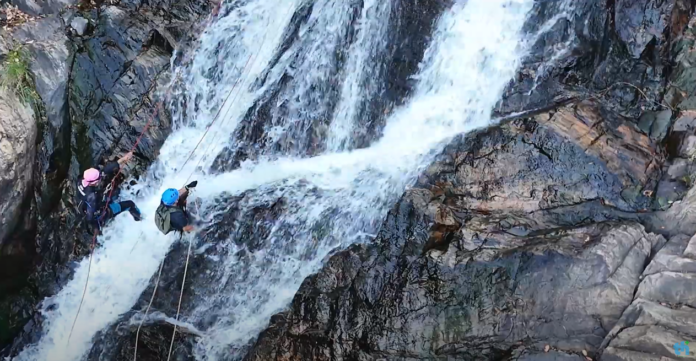 Captura de tela 2024-08-15 111348