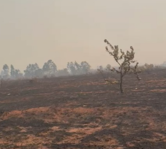 Captura de tela 2024-08-27 111906