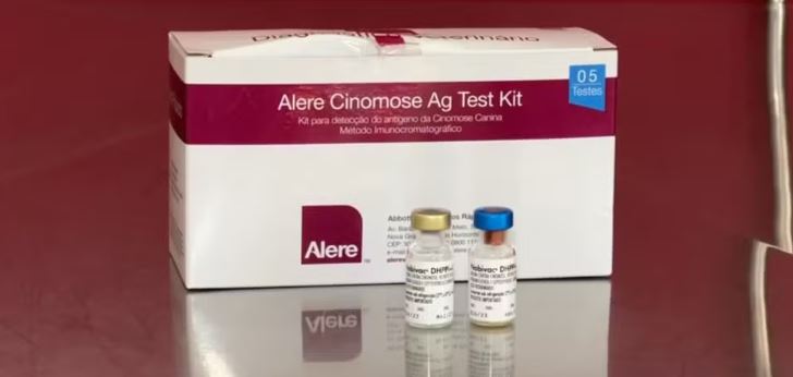 Tanabi enfrenta surto de Cinomose com 8 casos confirmados