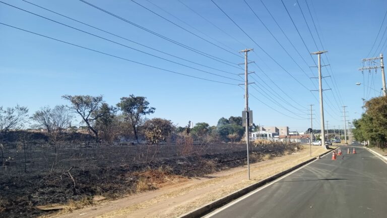 Queimadas e incêndios afetam o sistema elétrico na região de Ribeirão; foram 176 ocorrências no 1° semestre
