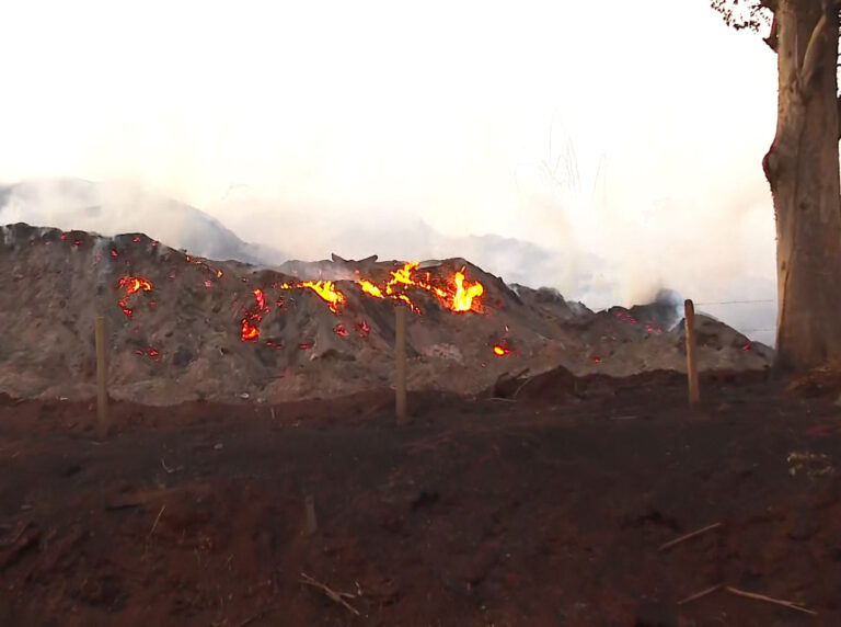 Campinas está entre os 48 municípios em alerta máximo para queimadas no estado