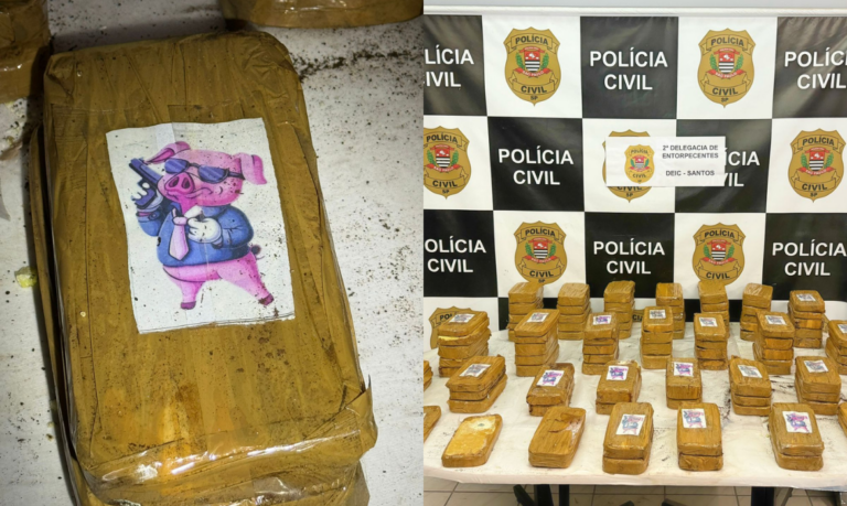 Motorista de carro com 100 tijolos de cocaína com destino à Baixada Santista é preso