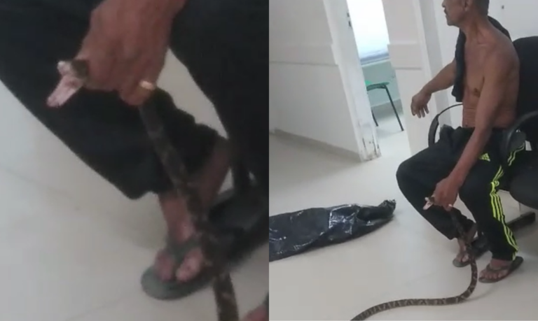 Homem é picado por jararaca e leva cobra para UPA de Guarujá; Veja o vídeo